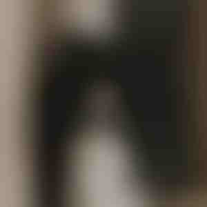 Ventilateur puissant pour un air pur | VENTORIS