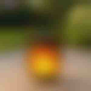 Lanternes solaires avec effet de flamme dansante | FLAMLUX