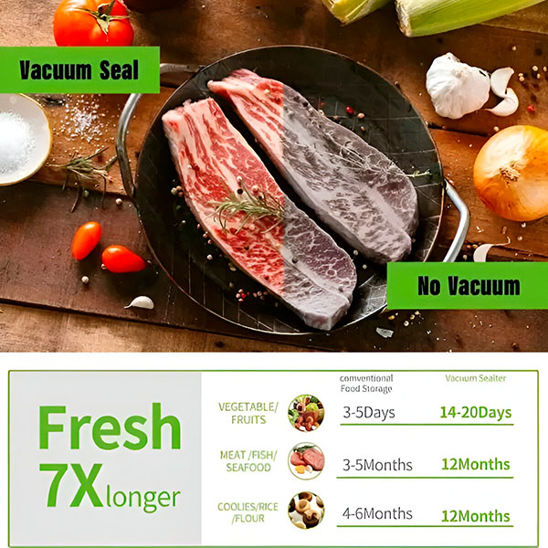 PROVACUUMSEALER10038__101025