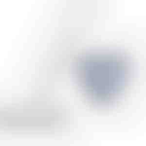 TIDYBROOM + (UP) TIDYMOP