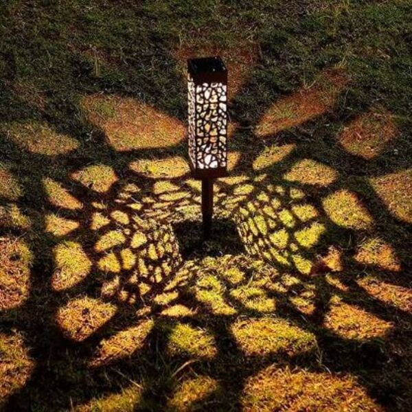 GARDENIAS13716__5b2192a4