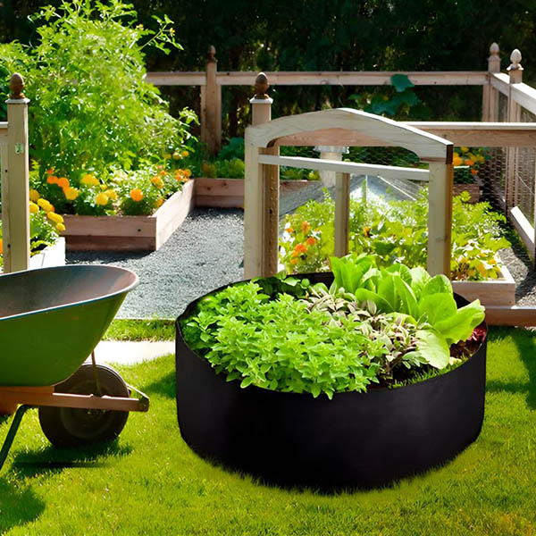 PLANTIE17057__7cc70d5c