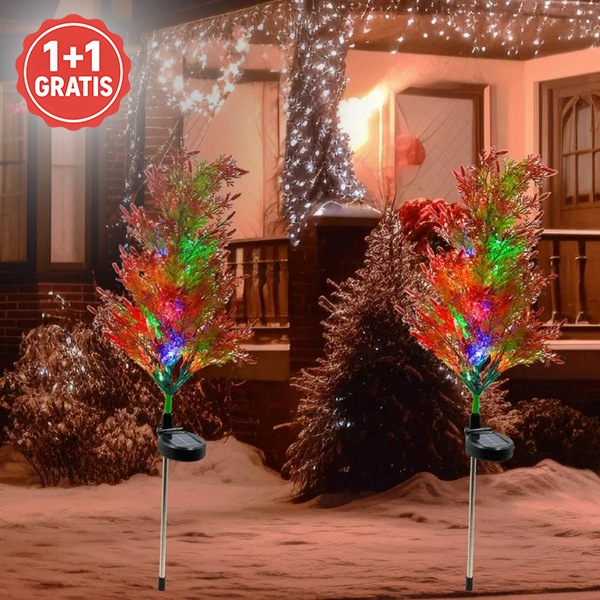 C2UPRESSUS-300292604-N-MAIN__030226