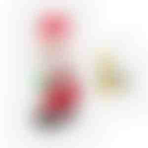 DANCECLAUS + (UP) Battery AA