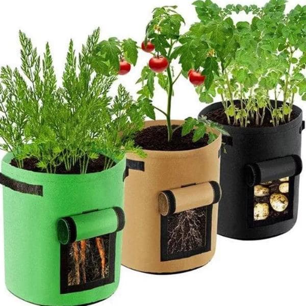 F4LORAFOLD-985282189-N-1__030226