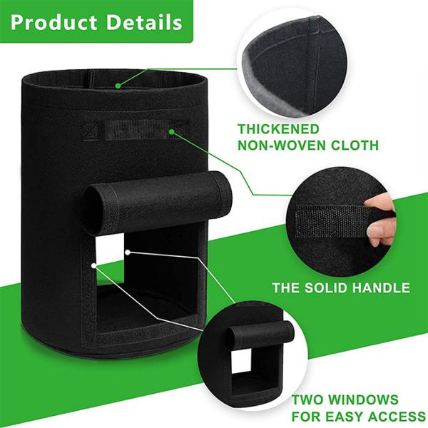 F4LORAFOLD-985282189-N-7__030226