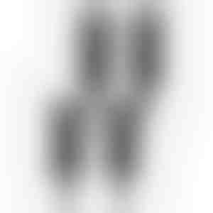 GARDENIAS + GARDENIAS