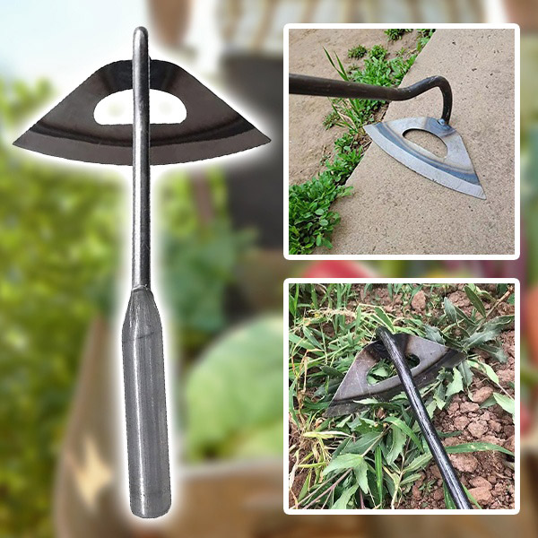 GRASSOE-1831121198614-N-MAIN__020226